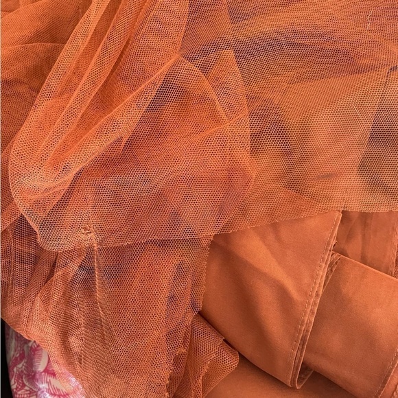 Revelry Madeline Rust Tulle Maxi Dress - Picture 9 of 12